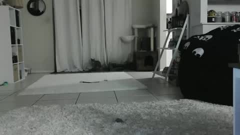 Snapshot of wrenleigh chatting on 12, 1, 2025 Crystal Lake online show from 12, 1, 2025