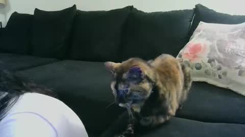 Snapshot of wrenleigh chatting on 15, 10, 2025 Crystal Lake online show from 15, 10, 2025