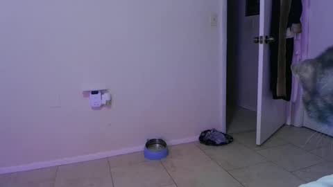 Snapshot of wrenleigh chatting on 30, 11, 2025 Crystal Lake online show from 30, 11, 2025