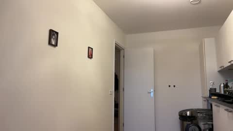 Snapshot of wsvogel chatting on 23, 1, 2025 joejoe online show from 23, 1, 2025