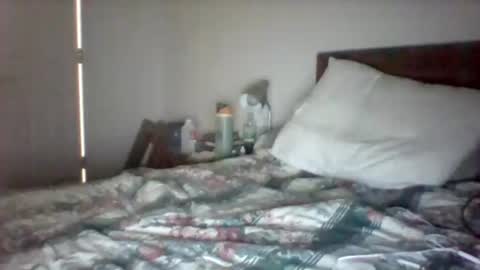 wvmountainlover online show from 6, 4, 2026