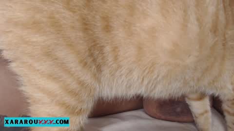       S A R A      100K followers online show from 13, 1, 2025