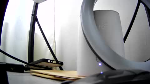 Snapshot of xavicock24 chatting on 16, 3, 2026 xavicock24 online show from 16, 3, 2026