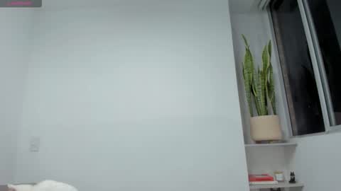 Xavier online show from 23, 11, 2025