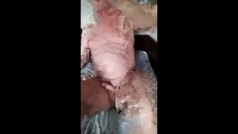 Snapshot of xfneh002 chatting on 29, 3, 2026 Slava online show from 29, 3, 2026