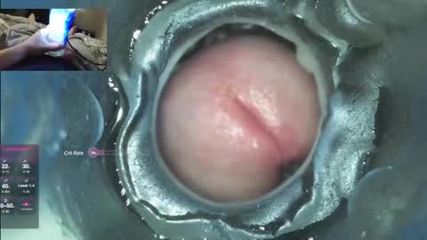 xoxowtf online show from 7, 12, 2024