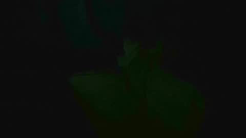 Snapshot of xposed_edger chatting on 2, 3, 2025 xposed_edger online show from 2, 3, 2025