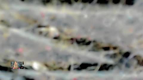 Snapshot of xthesexyboyx chatting on 16, 2, 2025 Femboy Exotic online show from 16, 2, 2025