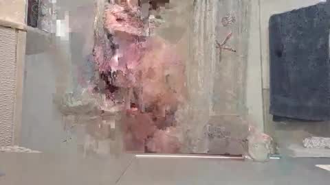 xxmariebliss online show from 19, 1, 2026