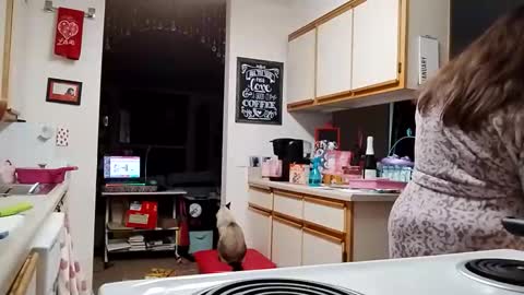 Snapshot of xxstrawberryjanexx chatting on 3, 2, 2026 Strawberry Jane online show from 3, 2, 2026