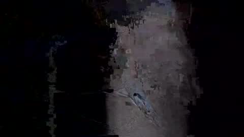 Vera online show from 14, 1, 2026