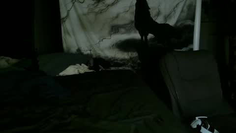 Snapshot of xxxjrstrokesxxx chatting on 25, 1, 2025 xxxjrstrokesxxx online show from 25, 1, 2025