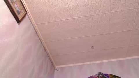 Snapshot of xxxkinkycpl chatting on 20, 12, 2024 isa and gonzo online show from 20, 12, 2024