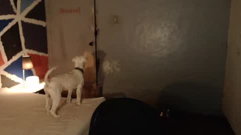 Melissa online show from 4, 2, 2025