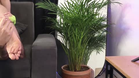 July and Fer online show from 4, 2, 2025