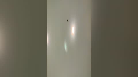 Snapshot of xxxvoidxx chatting on 19, 6, 2026 xxxvoidxx online show from 19, 6, 2026