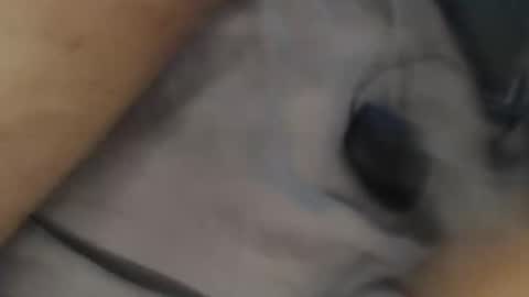 Snapshot of yallayalla1806 chatting on 18, 11, 2025 yallayalla1806 online show from 18, 11, 2025