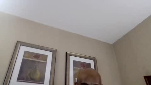 Snapshot of yallfavoritecouple chatting on 8, 4, 2026 YallFav0rit3couple online show from 8, 4, 2026