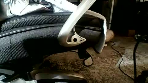 Snapshot of yamagrow chatting on 19, 4, 2026 yamagrow online show from 19, 4, 2026