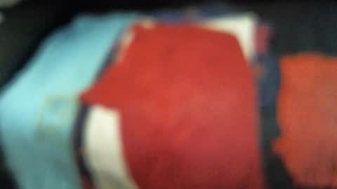 .     y e l l o w s n a k e s       . online show from 13, 11, 2025