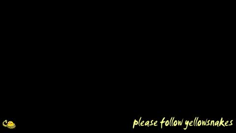 .     y e l l o w s n a k e s       . online show from 13, 1, 2026