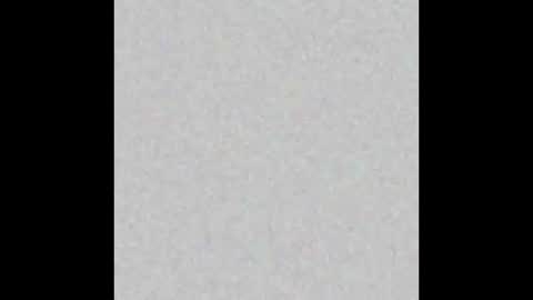 .     y e l l o w s n a k e s       . online show from 4, 3, 2026