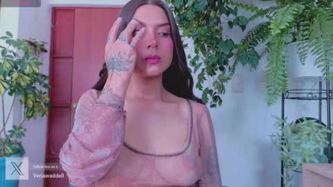 Snapshot of yeriawaddell_ chatting on 15, 3, 2026 yeriawaddell online show from 15, 3, 2026