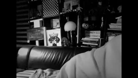 yessex247 online show from 19, 2, 2026