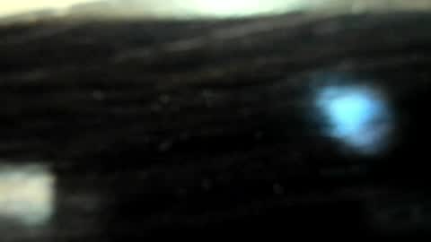 Snapshot of yoonhee_ki chatting on 5, 4, 2026 yoonhee_ki online show from 5, 4, 2026