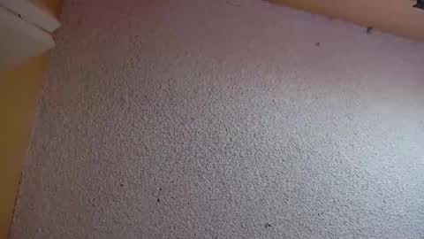 Snapshot of your_king_of_hearts chatting on 5, 3, 2026 Sophiestar online show from 5, 3, 2026