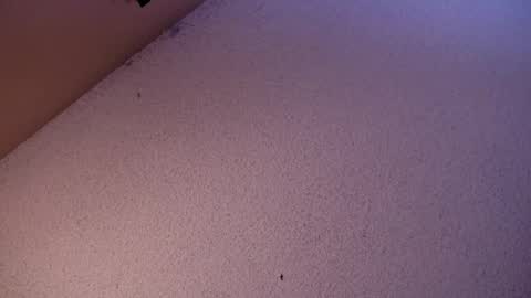 Snapshot of your_king_of_hearts chatting on 3, 6, 2026 Sophiestar online show from 3, 6, 2026