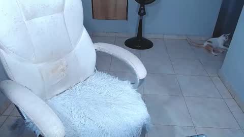 your_latin_girl online show from 15, 2, 2026