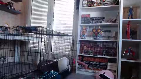 Owned by Hell On Heels online show from 7, 3, 2026