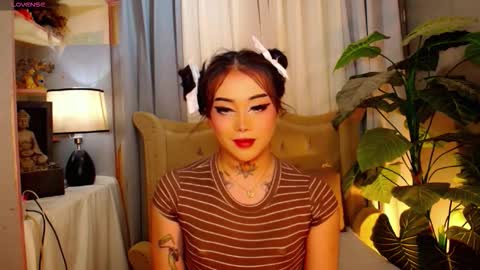 kim online show from 15, 11, 2025