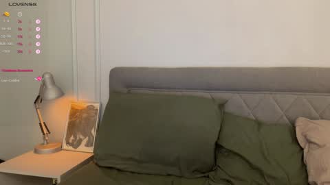 Snapshot of yourher0in chatting on 23, 12, 2024 Aida online show from 23, 12, 2024