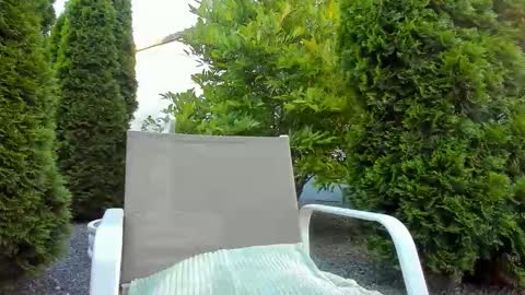Snapshot of yourjackdick chatting on 11, 6, 2026 Jacky online show from 11, 6, 2026