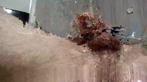 yourwishismypleasure1 online show from 17, 11, 2025