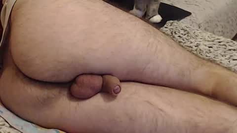 Yowlo online show from 22, 9, 2025