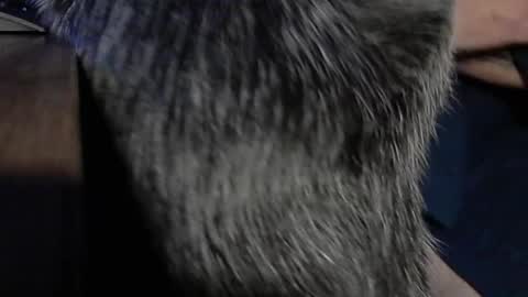 Snapshot of yumguy69 chatting on 17, 9, 2025 YumGuy69 online show from 17, 9, 2025