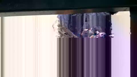 Snapshot of yungcockk444 chatting on 8, 10, 2025 hungggg online show from 8, 10, 2025