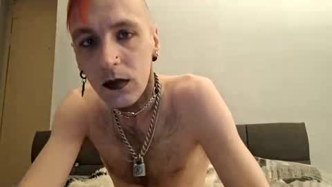 T online show from 29, 5, 2026