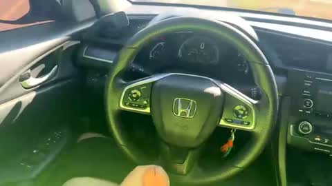 Snapshot of zadddy209 chatting on 20, 12, 2024 zadddy209 online show from 20, 12, 2024