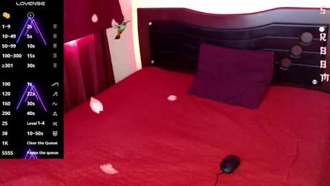 Snapshot of zagarah chatting on 13, 2, 2026 Zagarah online show from 13, 2, 2026