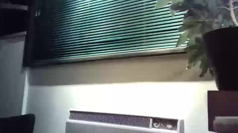 Snapshot of zalina2 chatting on 8, 3, 2026 zalina2 online show from 8, 3, 2026