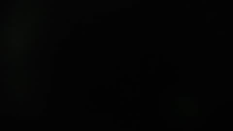 KAAL online show from 11, 12, 2024