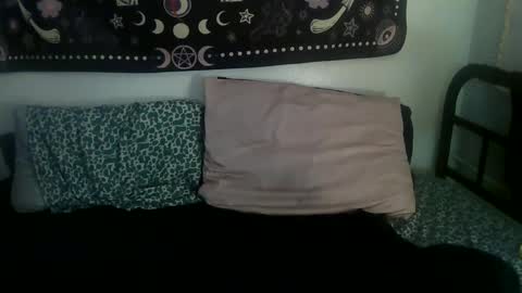 Zelda online show from 17, 2, 2025