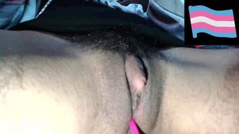 Zeldris online show from 3, 12, 2024