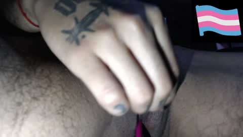 Zeldris online show from 14, 12, 2024