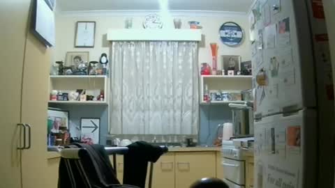 Snapshot of zempo2 chatting on 15, 6, 2026 zempo2 online show from 15, 6, 2026