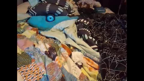 zero online show from 16, 9, 2025